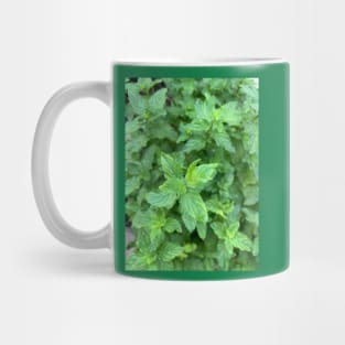 Mint Mug